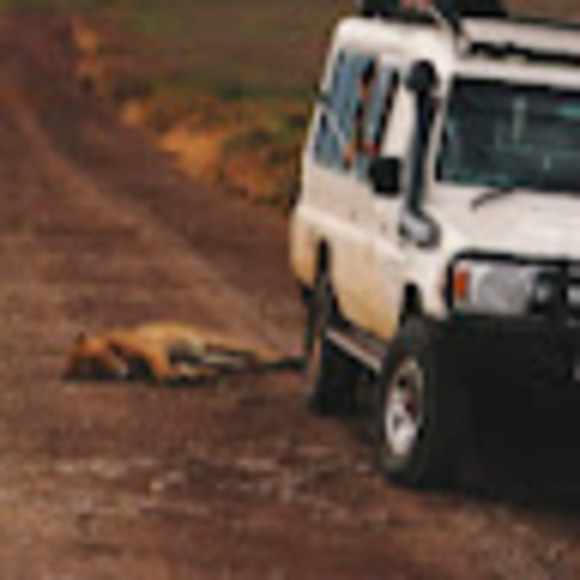 Meet your Posher, Amanda - Picture 1 of 1